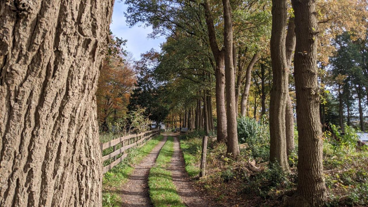 Chalet Op De Veluwe # Beuk 皮滕 外观 照片