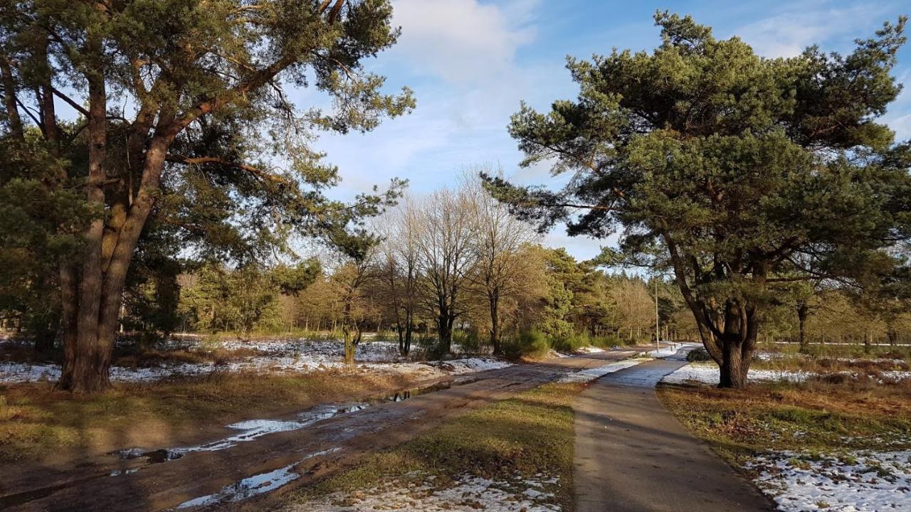 Chalet Op De Veluwe # Beuk 皮滕 外观 照片