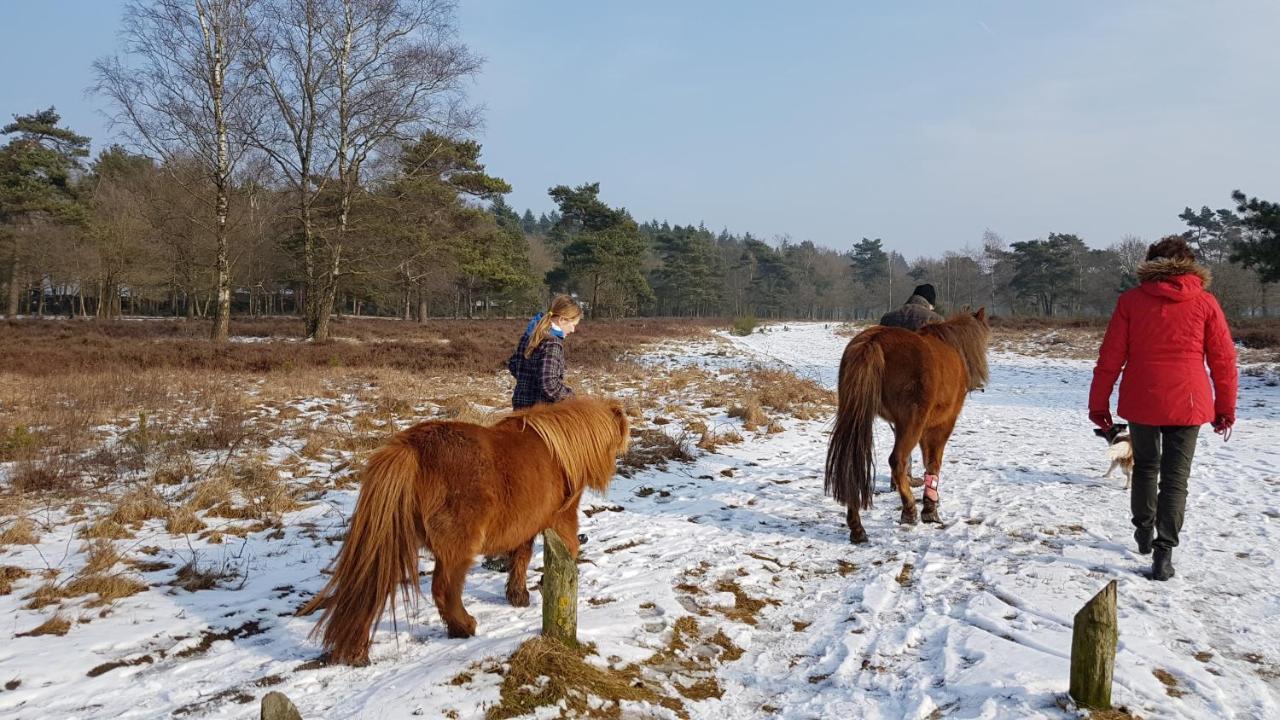 Chalet Op De Veluwe # Beuk 皮滕 外观 照片