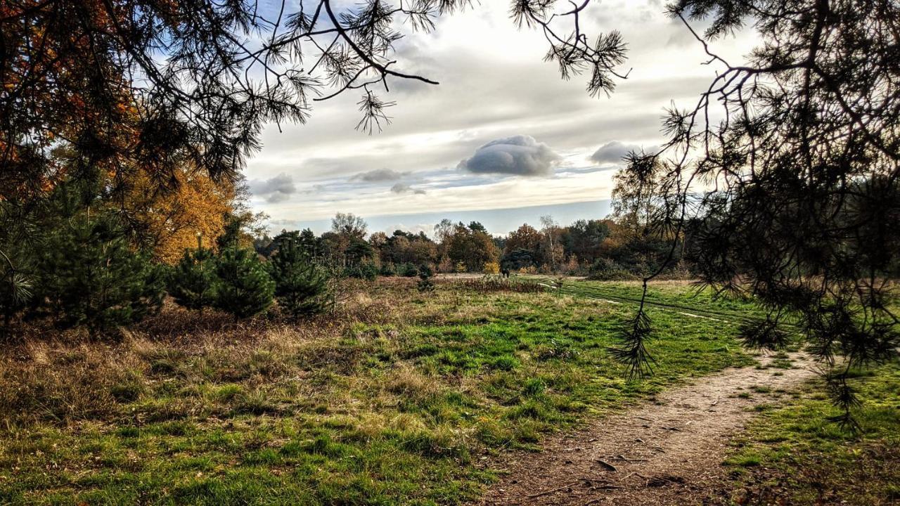 Chalet Op De Veluwe # Beuk 皮滕 外观 照片