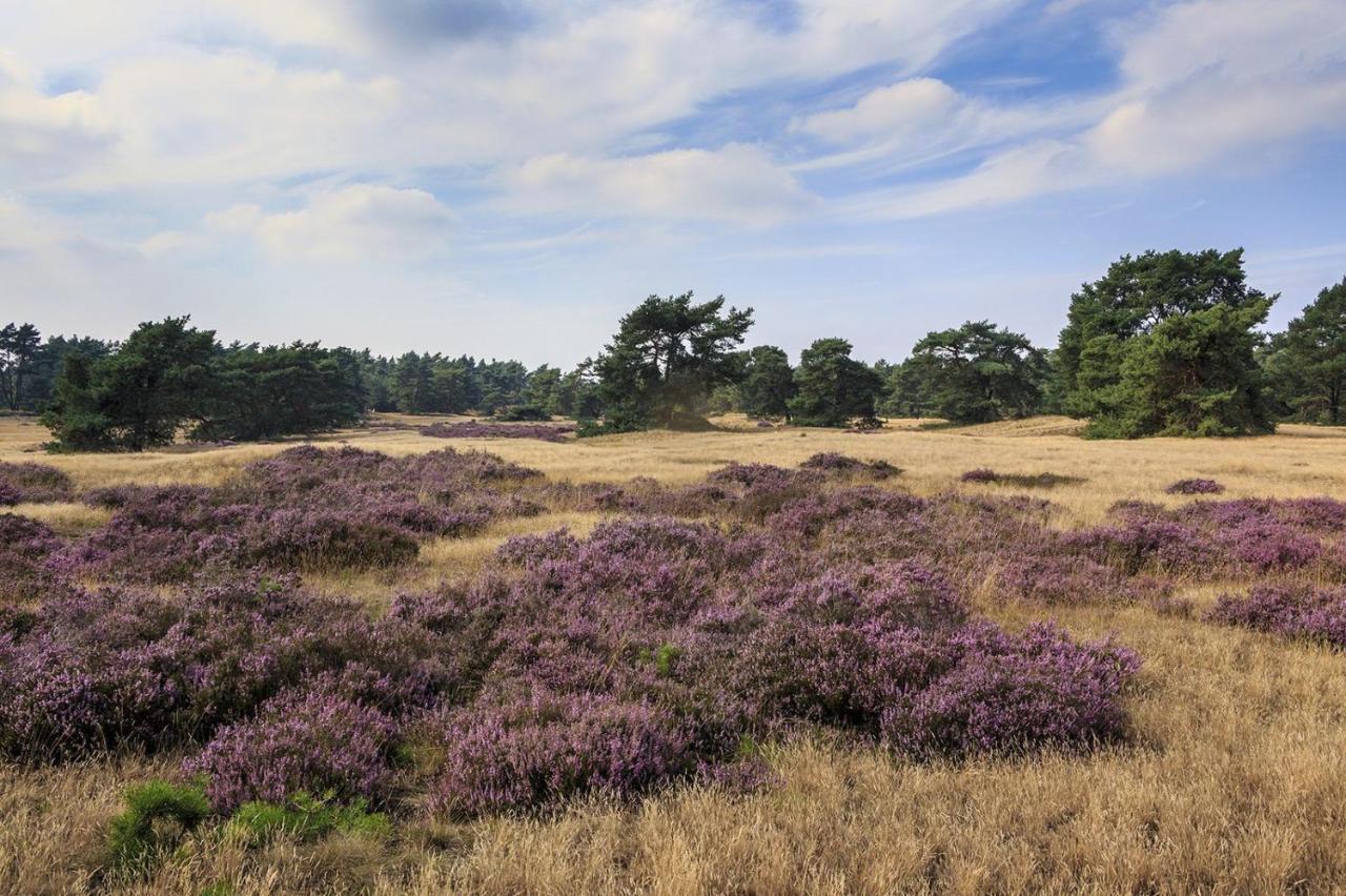 Chalet Op De Veluwe # Beuk 皮滕 外观 照片